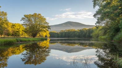 frank g bonelli regional park