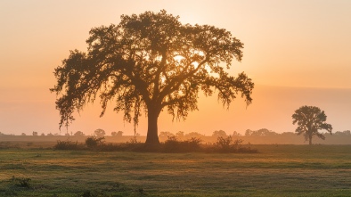 savanna regional park