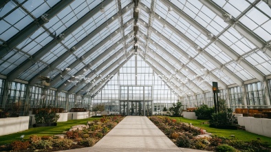 the glass house